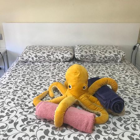 Medano Octopus Apartment El Médano Екстериор снимка